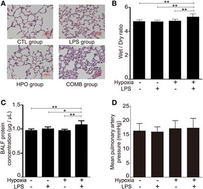 Hypoxia Exacerbates Inflammatory Acute Lung Injury via the Toll-Like Receptor 4 Signaling Pathway